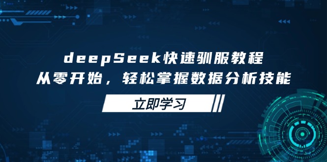 deepSeek快速驯服教程，从零开始，轻松掌握数据分析技能-康仁安网创