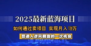 2025蓝海项目，普通人如何通过卖项目，实现月入过W，全过程【揭秘】-康仁安网创