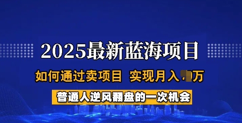 2025蓝海项目,普通人如何通过卖项目,实现月入过W,全过程【揭秘】-康仁安网创