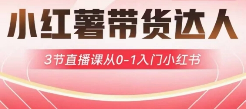 小红薯达人带货启航计划,3节直播课从0-1入门小红书-康仁安网创