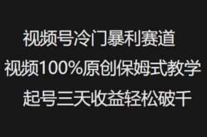 视频号冷门暴利赛道视频100%原创保姆式教学起号三天收益轻松破千-康仁安网创