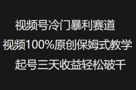 视频号冷门暴利赛道视频100%原创保姆式教学起号三天收益轻松破千-康仁安网创