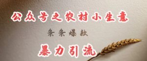 deepseek写农村小项目,条条爆款,暴力引流-康仁安网创