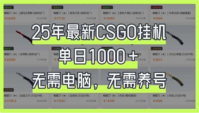 25年最新CSGO挂机系统,单日1000+,无需电脑,无需养号,0基础可上手-康仁安网创