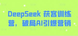 DeepSeek 获客训练营，破局AI引爆营销-康仁安网创