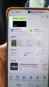 抖音暴力涨粉技术：一天轻松1-10万粉，技术不确定真实性，自测-康仁安网创