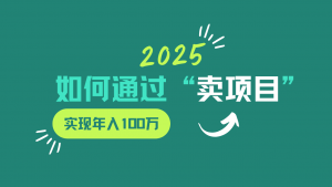 2025年如何通过“卖项目”实现年入100w-康仁安网创