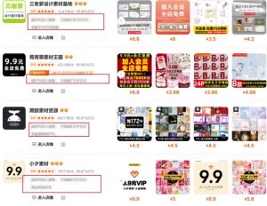 0成本虚拟项目实战手把手教你落地，单店月入5k-康仁安网创