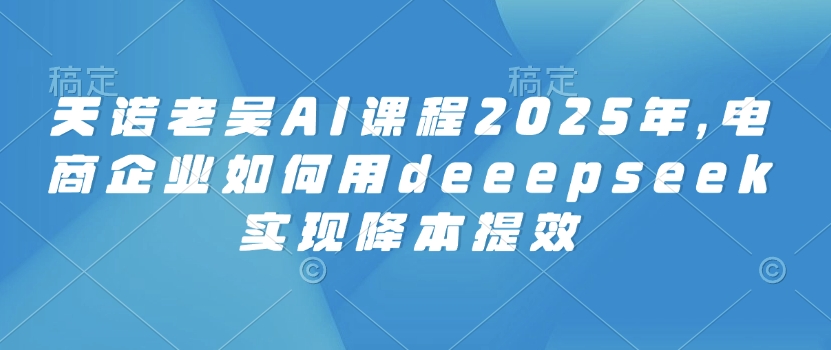 天诺老吴AI课程2025年,电商企业如何用deeepseek实现降本提效-康仁安网创
