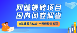 网赚搬砖项目,国内问卷调查,0基础看完就会 一天轻松三四百,靠谱副业...-康仁安网创