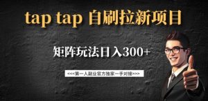 taptap拉新自刷项目，一个新用户14元，矩阵玩法日入300+-康仁安网创