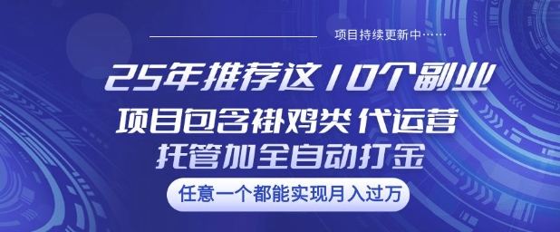 25年推荐这10个副业项目包含褂鸡类、代运营托管类、全自动打金类【揭秘】-康仁安网创