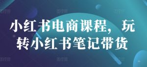 小红书电商课程，玩转小红书笔记带货-康仁安网创