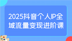 2025抖音个人IP全域流量变现进阶课：选爆品、抖音付费投流、千川投流实操及优化等-康仁安网创
