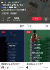 小红书治愈文案图文笔记，零门槛，一分钟制作轻松制作爆款作品月入万元-康仁安网创