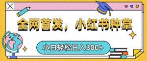 小红书种草，手机项目，日入3张，复制黏贴即可，可矩阵操作，动手不动脑【揭秘】-康仁安网创