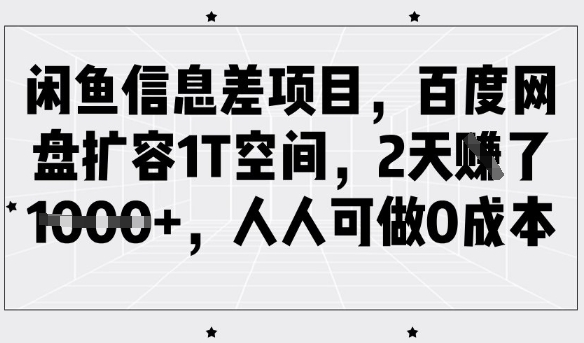 闲鱼信息差项目,百度网盘扩容1T空间,2天收益1k+,人人可做0成本-康仁安网创