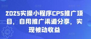 2025实操小程序CPS推广项目，自用推广渠道分享，实现被动收益-康仁安网创