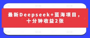 最新Deepseek+蓝海项目，十分钟收益2张-康仁安网创