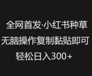 全网首发，小红书种草无脑操作，复制黏贴即可，轻松日入3张-康仁安网创