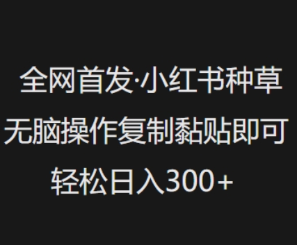 全网首发,小红书种草无脑操作,复制黏贴即可,轻松日入3张-康仁安网创