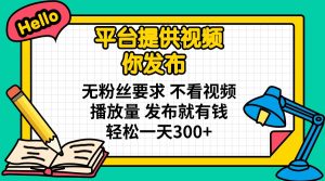 平台提供视频 你发布 无粉丝要求 不看视频播放量 发布就有钱 轻松一天300+-康仁安网创