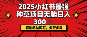 2025小红书最强种草项目，无脑日入300+，复制粘帖即可，多劳多得-康仁安网创