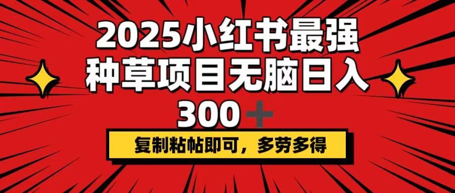 2025小红书最强种草项目，无脑日入300+，复制粘帖即可，多劳多得-康仁安网创