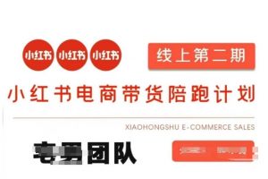 小红书电商带货课2期，月利润20个的小红书电商的有货源，无货源，虚拟产品，付费投流等整套玩法-康仁安网创