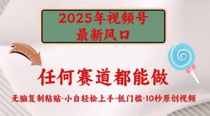 2025年视频号新风口,低门槛只需要无脑执行-康仁安网创
