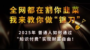 全网都在割你韭菜,我来教你做镰刀,2025普通人如何通过知识付费,实现财F自由【揭秘】-康仁安网创