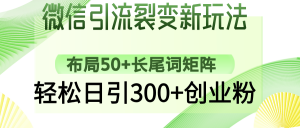 微信引流裂变新玩法：布局50+长尾词矩阵，轻松日引300+创业粉-康仁安网创
