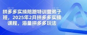 拼多多实操陪跑特训营弟子班，2025年2月拼多多实操课程，海量拼多多玩法-康仁安网创