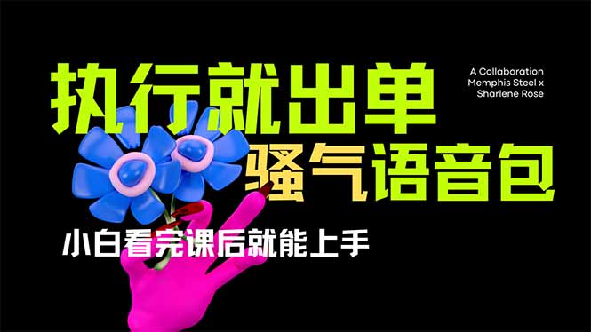 爆火全网的开车导航骚气语音包,只要执行就出单,小白看完课程就能实操…-康仁安网创