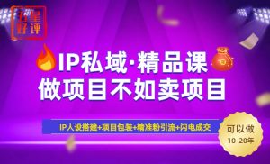 2025年“IP私域·密训精品课”，日赚3000+小白避坑年赚百万，暴力引流...-康仁安网创