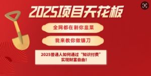 2025项目天花板普通人如何通过知识付费，实现财F自由【揭秘】-康仁安网创