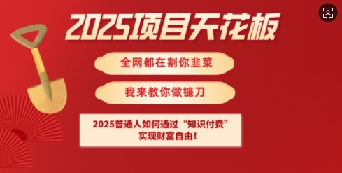 2025项目天花板普通人如何通过知识付费,实现财F自由【揭秘】-康仁安网创