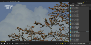 全能影音播放器 PotPlayer v1.7.22613 绿色去广告版-康仁安网创