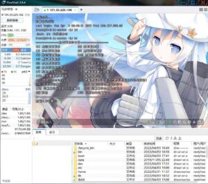 FinalShell-康仁安网创