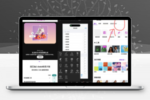 PicsArt 29.2.2 美易Gold会员版-康仁安资源