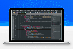 文本和代码编辑器 IDM UltraEdit vv32.0.0.24 中文绿色破解版-康仁安资源