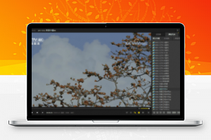 全能影音播放器 PotPlayer v1.7.22613 绿色去广告版-康仁安资源