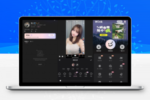 Wink 3.0.0 高级版-康仁安资源