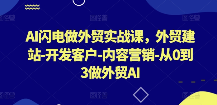 AI闪电做外贸实战课，​外贸建站-开发客户-内容营销-从0到3做外贸AI(更新)-康仁安网创