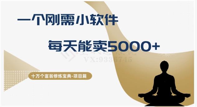 十万个富翁修炼宝典之17.一个刚需小软件,每天能卖5000+-康仁安网创