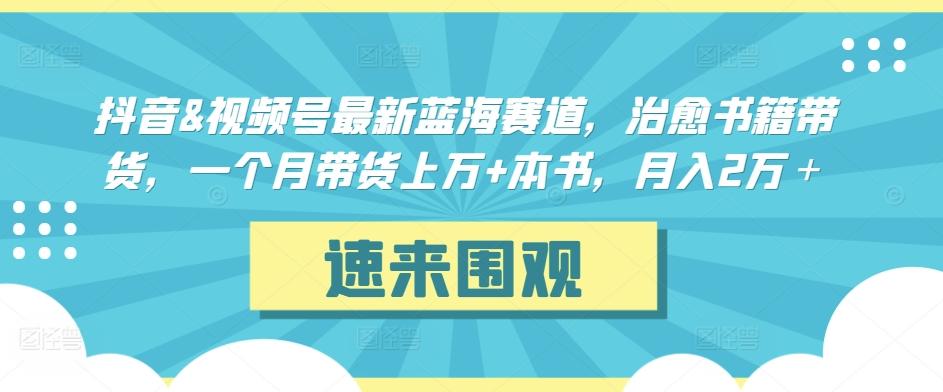 抖音&视频号最新蓝海赛道,治愈书籍带货,一个月带货上万+本书,月入2万+【揭秘】-康仁安网创