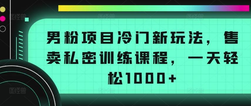 男粉项目冷门新玩法，售卖私密训练课程，一天轻松1000+【揭秘】-康仁安网创