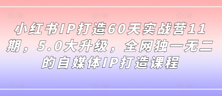 小红书IP打造60天实战营11期，5.0大升级，全网独一无二的自媒体IP打造课程-康仁安网创