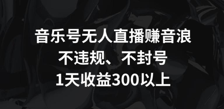 音乐号无人直播赚音浪，不违规、不封号，1天收益300+【揭秘】-康仁安网创