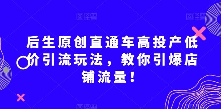后生原创直通车高投产低价引流玩法，教你引爆店铺流量！-康仁安网创